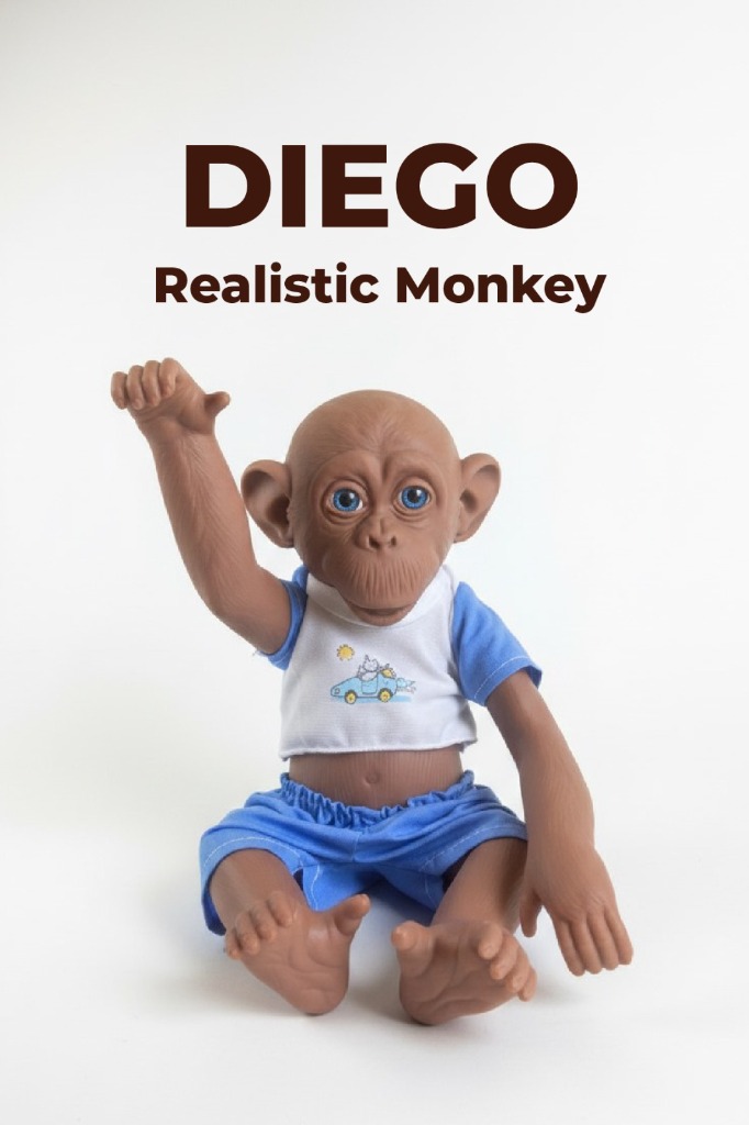 Diego Stüdyo 1